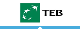 TEB logosu